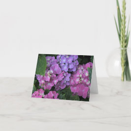 Roze hydrangea bedankkaart