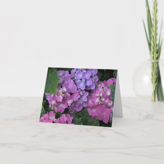 Roze hydrangea bedankkaart (Voorkant)
