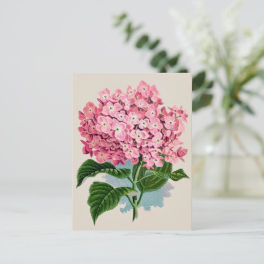  Roze Hydrangea Bloem Briefkaart (Staand voorkant)