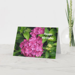  Roze Hydrangea Bloemen Foto Verjaardag Kaart