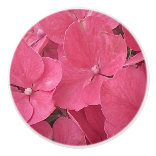 Roze hydrangea Blossoms Ceramic Knob. Keramische Knop (Voorkant)