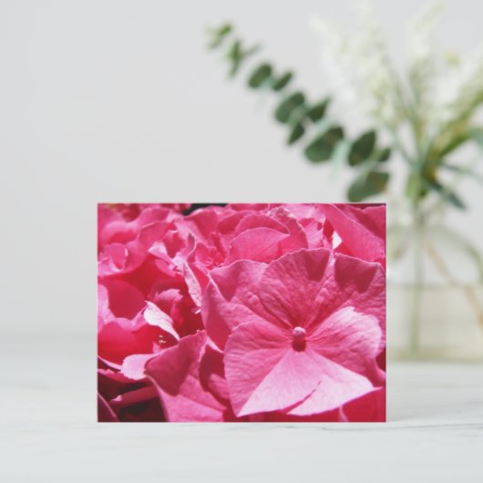 Roze hydrangea briefkaart (Staand voorkant)