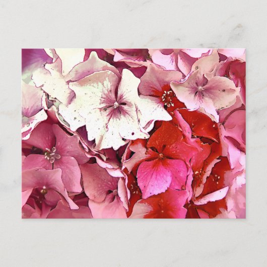 ROZE HYDRANGEA BRIEFKAART (Voorkant)
