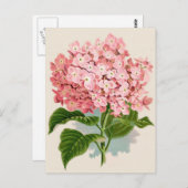 Roze Hydrangea Briefkaart (Voorkant / Achterkant)