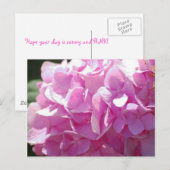 Roze hydrangea briefkaart (Voorkant / Achterkant)