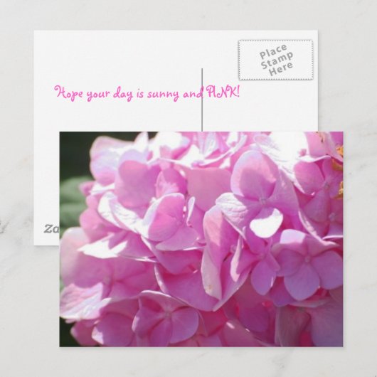 Roze hydrangea briefkaart (Voorkant / Achterkant)