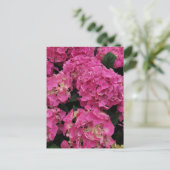 Roze hydrangea briefkaart (Staand voorkant)