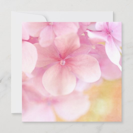 Roze hydrangea Dream ... Vierkante uitnodiging - B (Voorkant)
