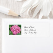 Roze hydrangea etiket (Insitu)