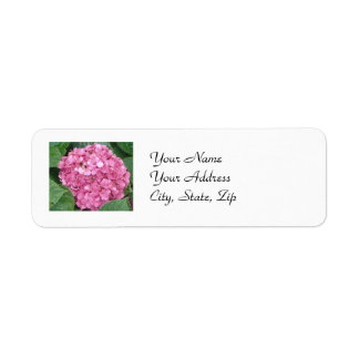 Roze hydrangea etiket