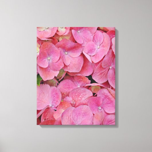 Roze hydrangea Flowers Canvas Afdruk (Voorkant)