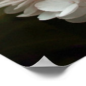 Roze hydrangea Flowers Poster (Hoek)