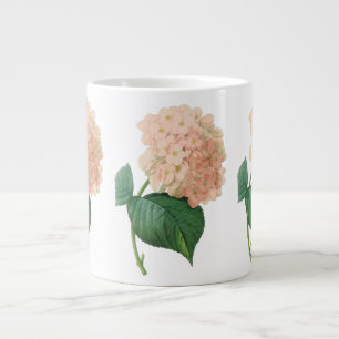 Roze hydrangea Hortensia Bloem door Redoute Grote Koffiekop