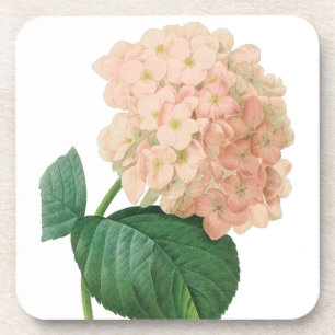  Roze hydrangea Hortensia Bloem door Redoute Onderzetter