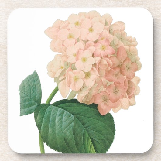  Roze hydrangea Hortensia Bloem door Redoute Onderzetter (Voorkant)