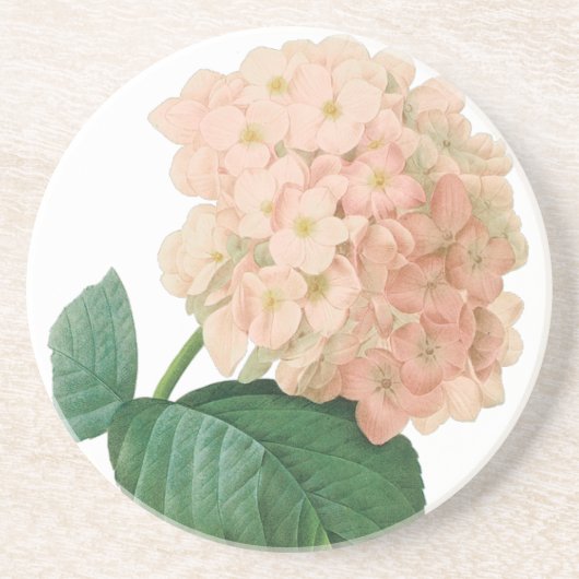  Roze hydrangea Hortensia Bloem door Redoute Zandsteen Onderzetter (Voorkant)