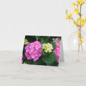 Roze Hydrangea hortensia Notecards Kaart (Gele Bloem)