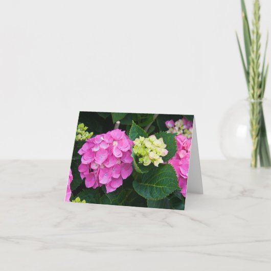 Roze Hydrangea hortensia Notecards Kaart (Voorkant)