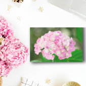 Roze hydrangea in de zomer tissuepapier