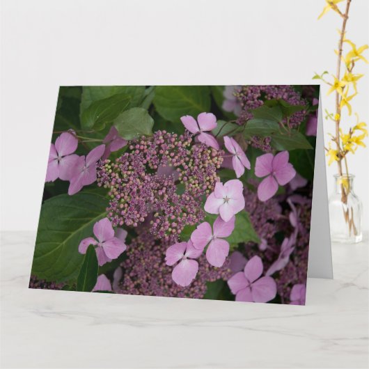 Roze hydrangea kaart (Gele Bloem)