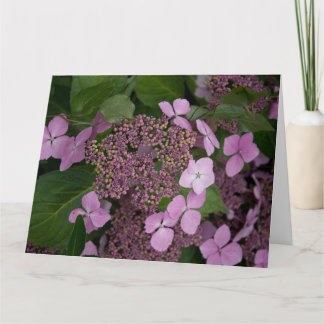 Roze hydrangea kaart