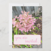 Roze hydrangea kaart (Voorkant)