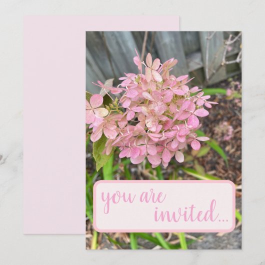 Roze hydrangea kaart (Voorkant / Achterkant)