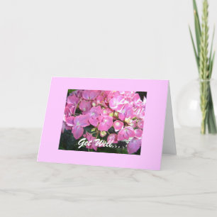 Roze hydrangea kaart