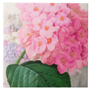 Roze hydrangea keramische tegel tegeltje
