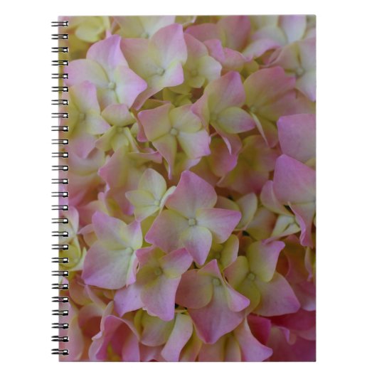 Roze hydrangea-laptop notitieboek (Voorkant)