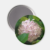 Roze hydrangea magneet (Voorkant / Achterkant)