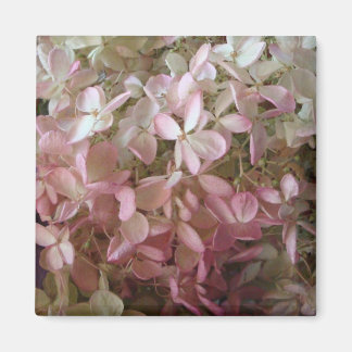  roze Hydrangea Magnet