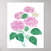 roze hydrangea poster (Voorkant)