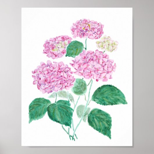 roze hydrangea poster (Voorkant)