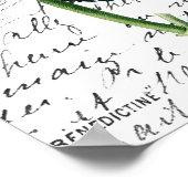 Roze Hydrangea Poster (Hoek)