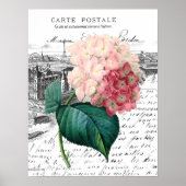 Roze Hydrangea Poster (Voorkant)