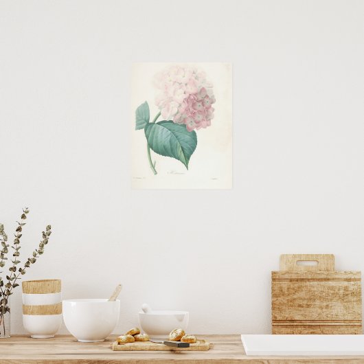 Roze hydrangea poster (Keuken)