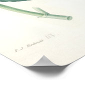 Roze hydrangea poster (Hoek)