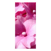 Roze Hydrangea-rackkaart Reclamekaart (Voorkant)