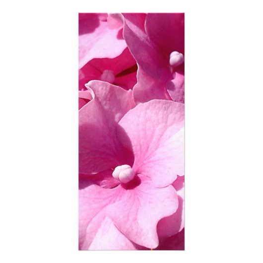 Roze Hydrangea-rackkaart Reclamekaart (Voorkant)