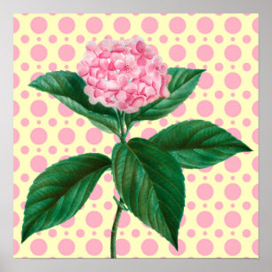 Roze Hydrangea  Retro Art Flower Poster