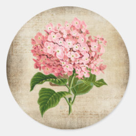 Roze Hydrangea Ronde Sticker