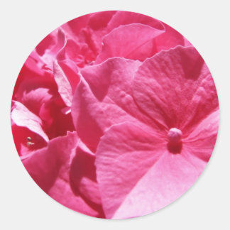 Roze hydrangea ronde sticker