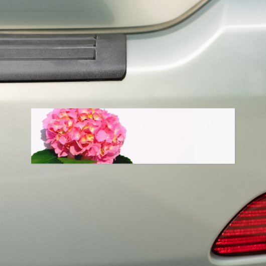 Roze hydrangea roze bloem roze florale bloem bumpersticker (Op auto)