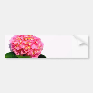 Roze hydrangea roze bloem roze florale bloem bumpersticker