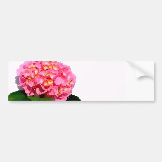Roze hydrangea roze bloem roze florale bloem bumpersticker (Voorkant)