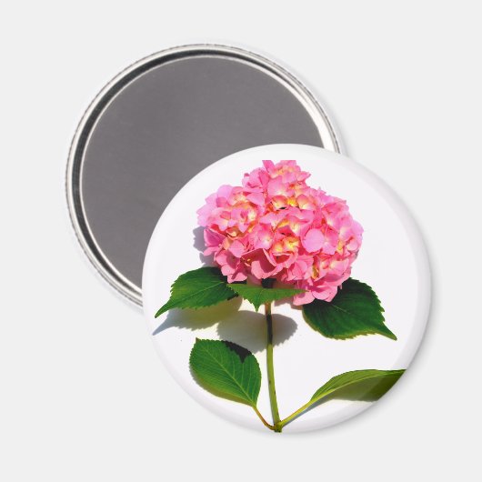 Roze hydrangea roze bloem roze florale bloem magneet (Voorkant / Achterkant)