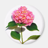 Roze hydrangea roze bloem roze florale bloem magneet (Voorkant)