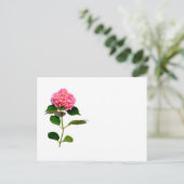Roze hydrangea roze florroze bloem briefkaart (Staand voorkant)