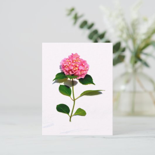 Roze hydrangea roze florroze bloem briefkaart (Staand voorkant)